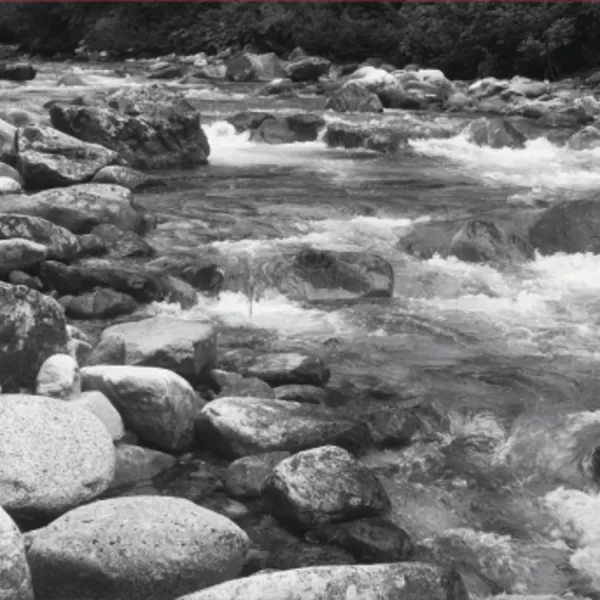 Streaming hot: Real-time big data architecture matters